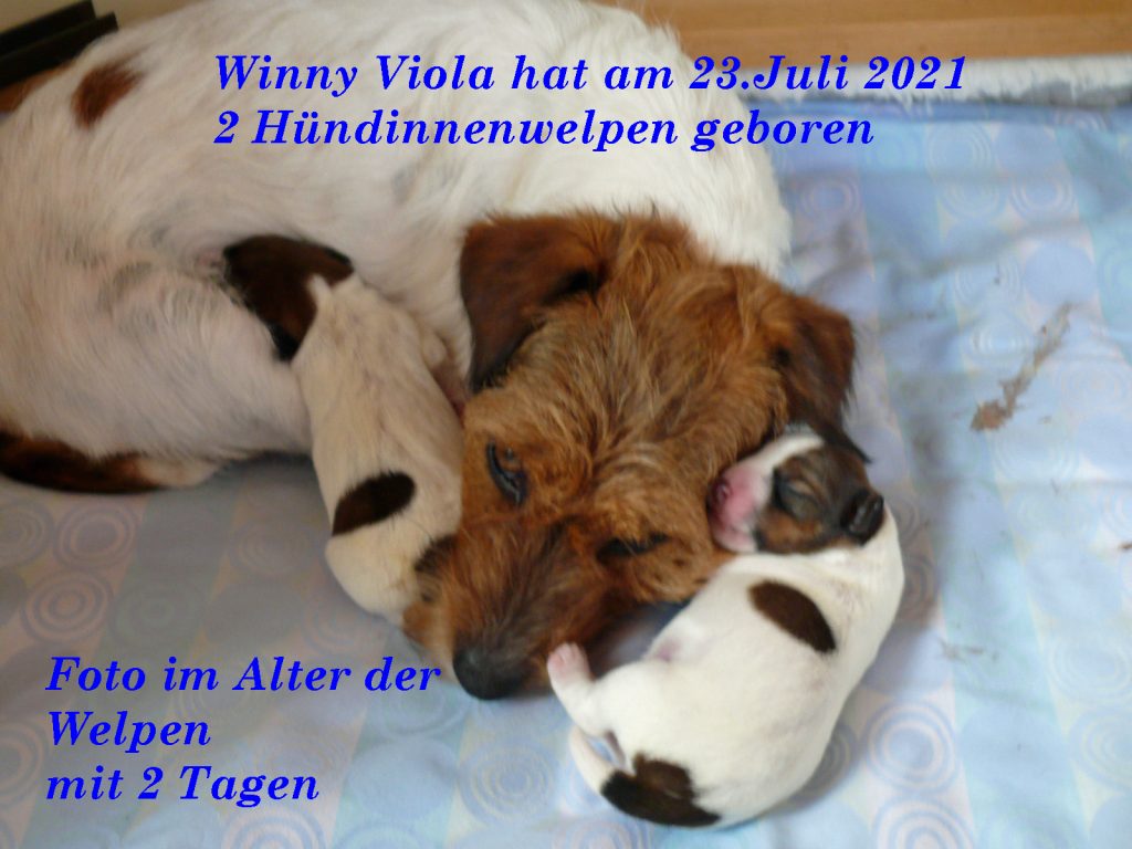 Winny Viola hat am 23.07.2021 2 Mädchen zu Welt gebracht